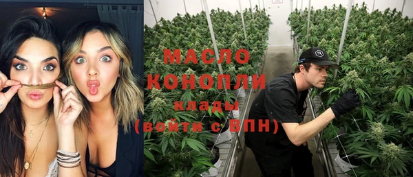 амф Верхний Тагил