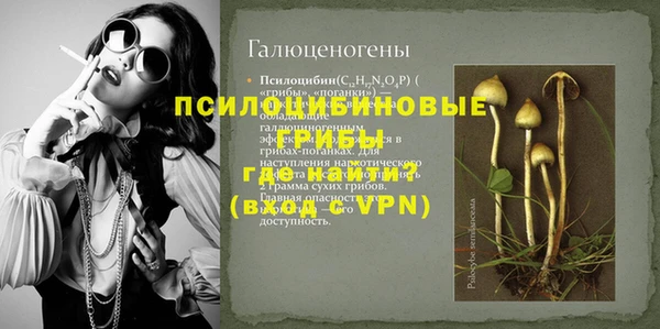 амф Верхний Тагил