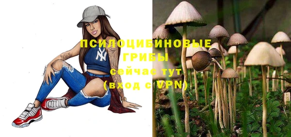 COCAINE Верея