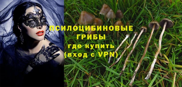 амф Верхний Тагил